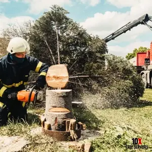 Tree Removal in Grand Island NY