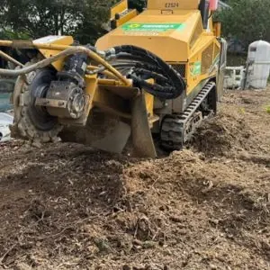 Stump Grinding in Grand Island NY