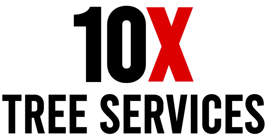 10x Tree Services Home