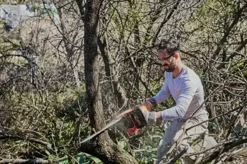 A tree cutter cutting down a tree trunk with a chainsaw in a tree removing project