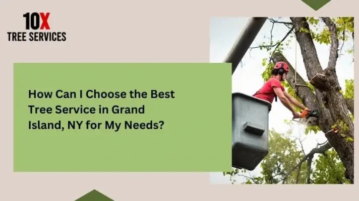 How Can I Choose the Best Tree Service in Grand Island, NY for My Needs?