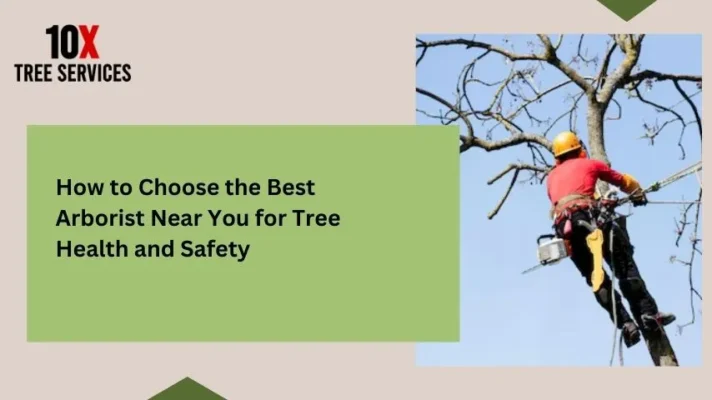 How to Choose the Best Arborist Near You for Tree Health and Safety