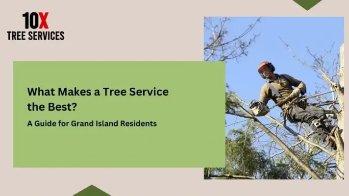 What Makes a Tree Service the Best? A Guide for Grand Island Residents