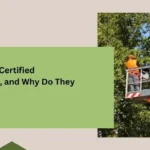 Who Are Certified Arborists, and Why Do They Matter