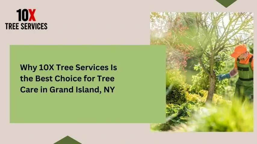 Why 10X Tree Services Is the Best Choice for Tree Care in Grand Island, NY