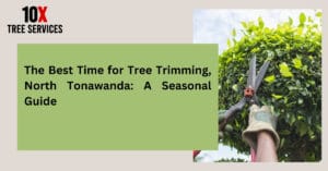 Tree trimming tips for seasonal maintenance by 10X Tree Services in North Tonawanda.