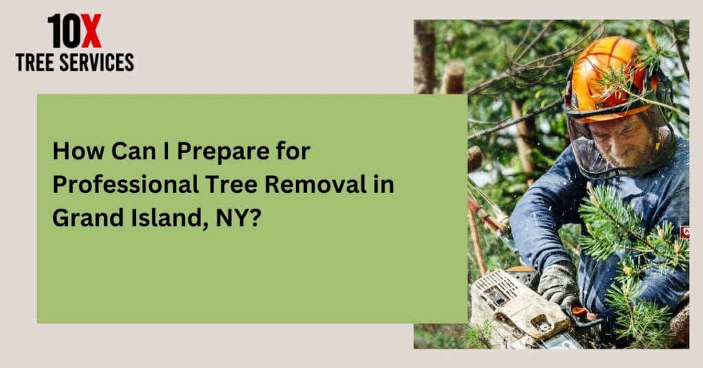 Tree removal preparation in Grand Island, NY with 10X Tree Services, highlighting inspection and area clearance.