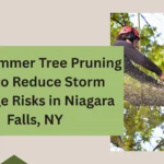 Tree Pruning