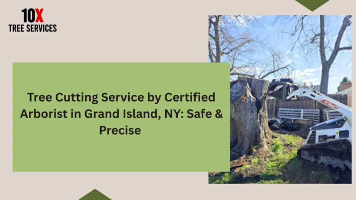 Tree Cutting Service