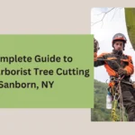 Certified Arborist