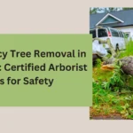 Emergency Tree Removal
