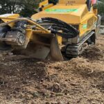 Stump Grind Buffalo NY