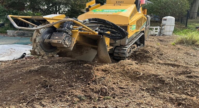 Stump Grind Buffalo NY